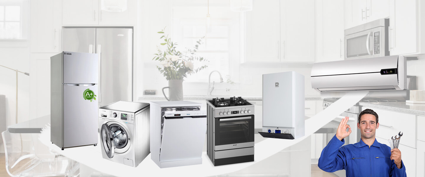 Reisdere Viessmann Servisi